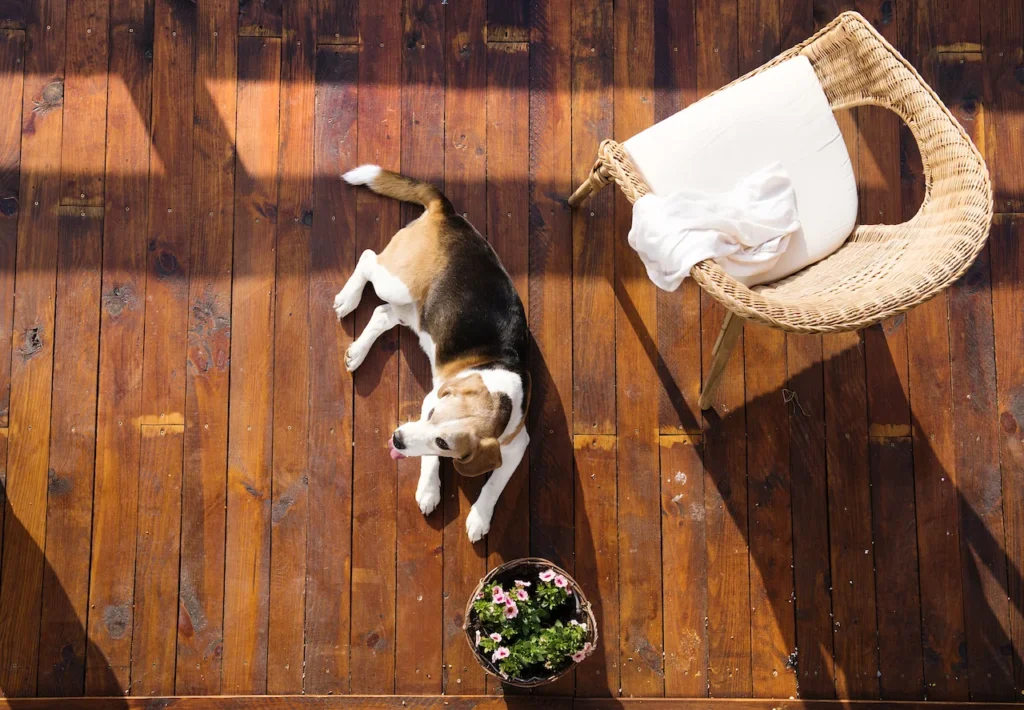 Best Decking for Dogs and Pets